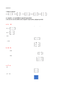 matrici (eserciz1)