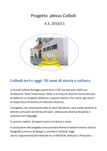 Progetto plesso Collodi - Torelli