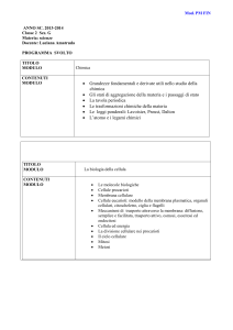 modulo - Liceo Russell