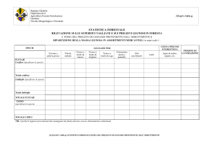7___-__modello_allegato_a02.4