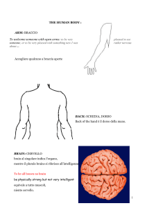 body - I blog di Unica