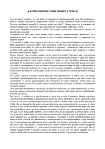 LA STERILIZZAZIONE, COME QUANDO E PERCHE` “La mia gatta è