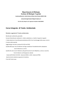 Pinto - Corsi di laurea - Università degli Studi di Napoli Federico II