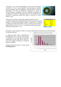 Es.04.liposoma