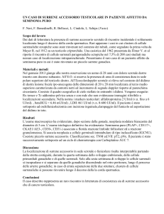 un caso di surrene accessorio testicolare in paziente affetto da