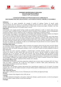 Consenso Ureterorenoscopia