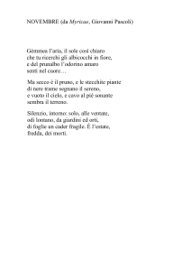 Pascoli Novembre