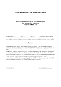 Liberatoria per Immagini