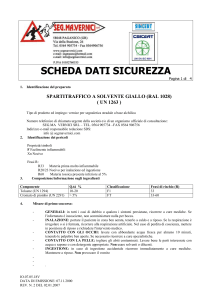 scheda sicurezza
