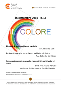 Il colore attraverso la storia, l`arte, la chimica e il diritto