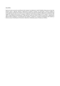 Silvia Maffii Esperta di analisi economica e pianificazione dei