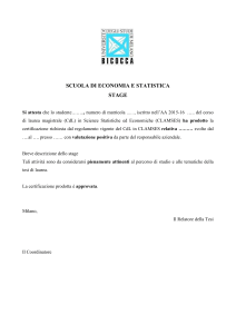 2 CFU-Stage - Scienze Statistiche ed Economiche