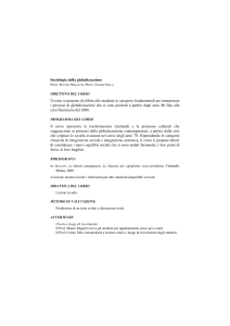 Sociologia della globalizzazione