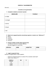 VERIFICA I° QUADRIMESTRE Alunno/a