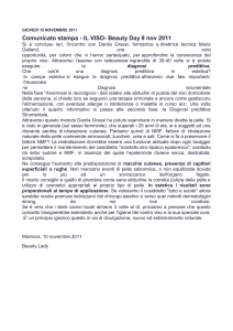 Comunicato stampa - IL VISO