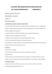 La divisione cellulare negli organismi procarioti.