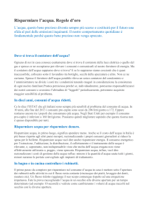 Risparmiare l`acqua: Regole d`oro