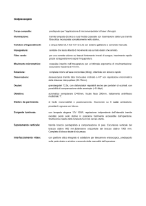Caratteristiche tecniche (docx - 12.52KB)