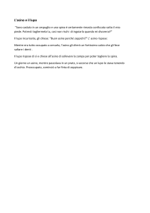L`asino e il lupo (Documento Word)