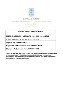 determinazione n° dsg 00456-2015 del 26/11/2015
