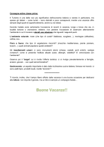 Consegna estiva classe prima