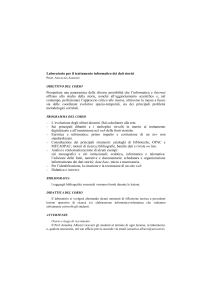 sito web