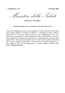 Comunicato n° 430 del 19 NOVEMBRE 2001