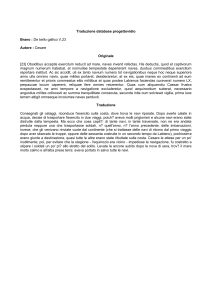 Traduzione database progettovidio
