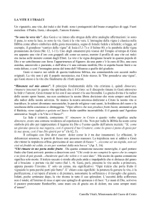 la vite e i tralci