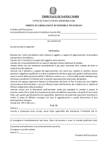 RTF - Tribunale di Napoli Nord