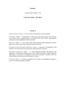 Salva la scheda come