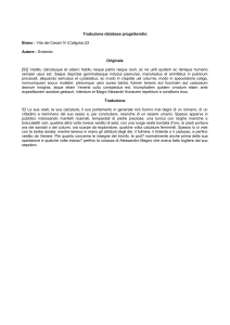 Traduzione database progettovidio