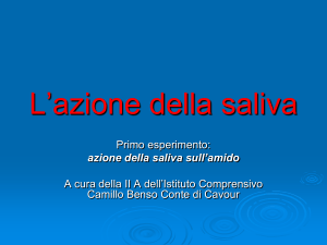 L`azione della saliva