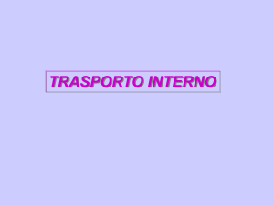 Presentazione di PowerPoint