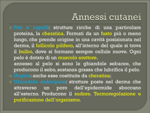 LE PARTI DEL CORPO UMANO_quinta parte