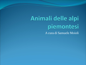 Animali nelle alpi piemontesi