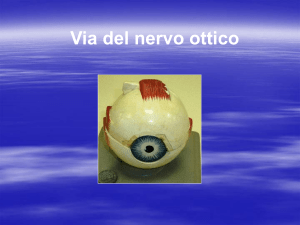 Via ottica