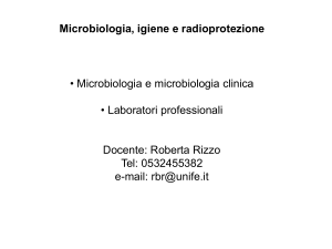 Diapositiva 1