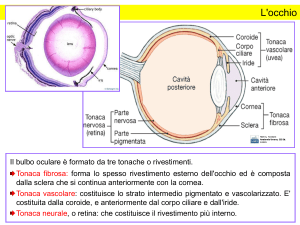 Introduzione