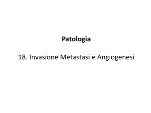 Attivatori dell`angiogenesi