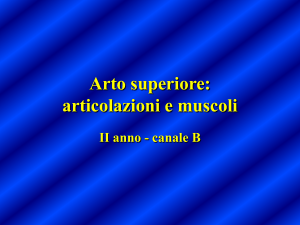 artmmAStesti