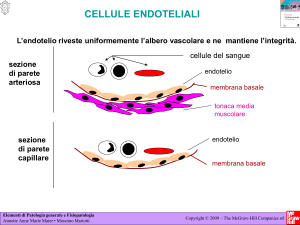 Diapositiva 1