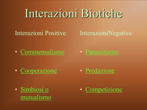 Nessun titolo diapositiva