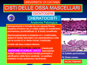 Diapositiva 1 - Medicina Unict