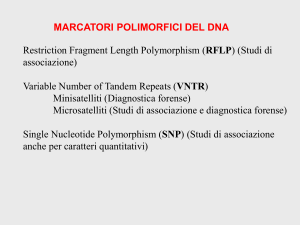 Restriction Fragment Length Polymorphism (RFLP)