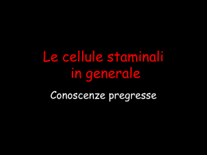 Le cellule staminali in generale