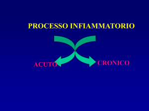 antiinfiammatori_2008
