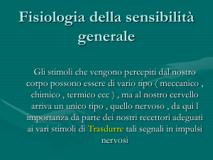 Fisiologia della sensibilità generale