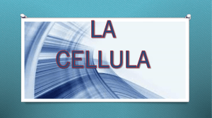 cellula composta