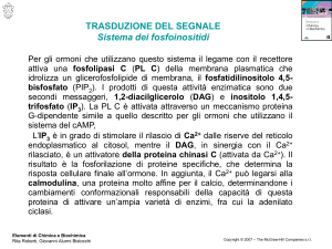 Diapositiva 1